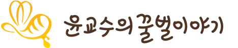 logo main
